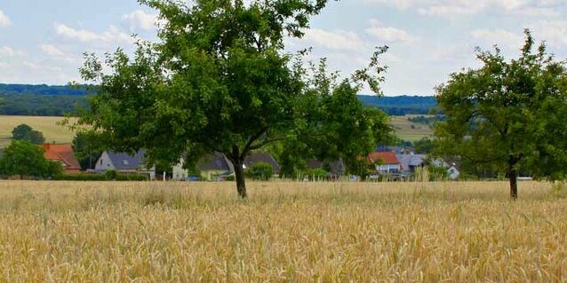 streuobstwiesen_1070x340